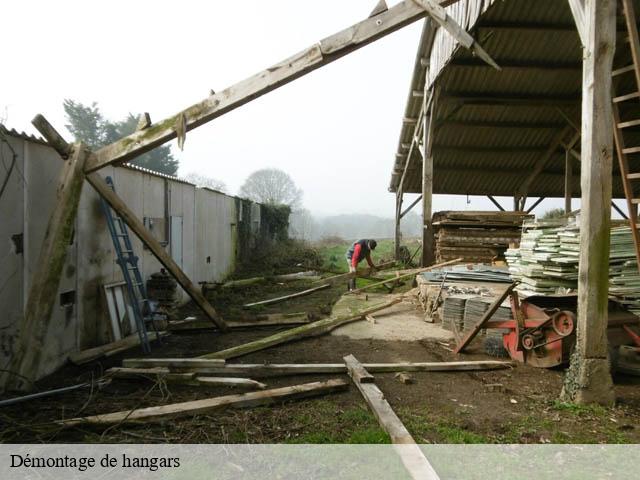 Démontage de hangars 41 Loir-et-Cher  Bruno démolition & terrassement