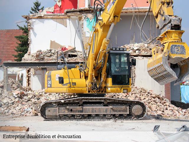 Entreprise démolition et évacuation  ambloy-41310 Bruno démolition & terrassement