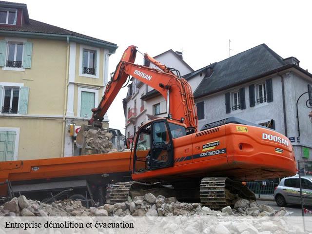 Entreprise démolition et évacuation  ambloy-41310 Bruno démolition & terrassement