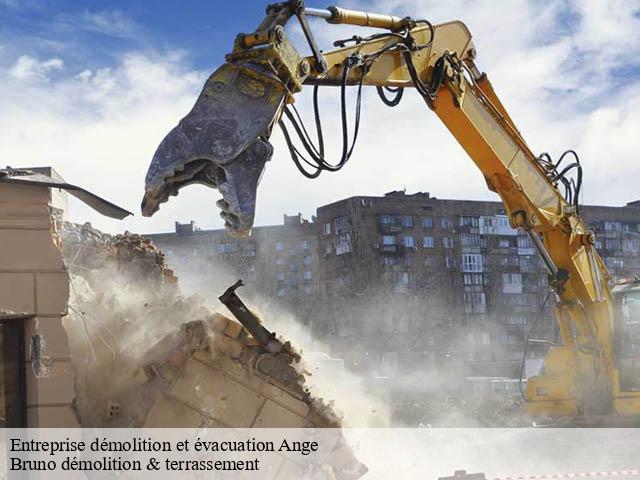 Entreprise démolition et évacuation  ange-41400 Bruno démolition & terrassement