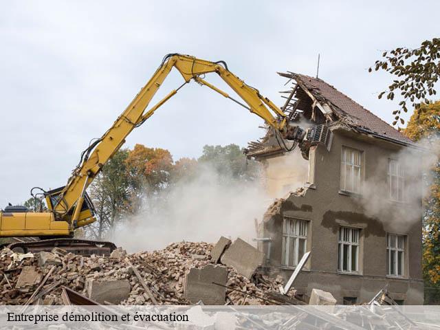 Entreprise démolition et évacuation  artins-41800 Bruno démolition & terrassement