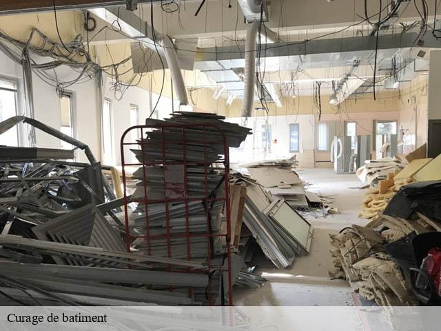 Curage de batiment fosse-41330 Bruno démolition & terrassement