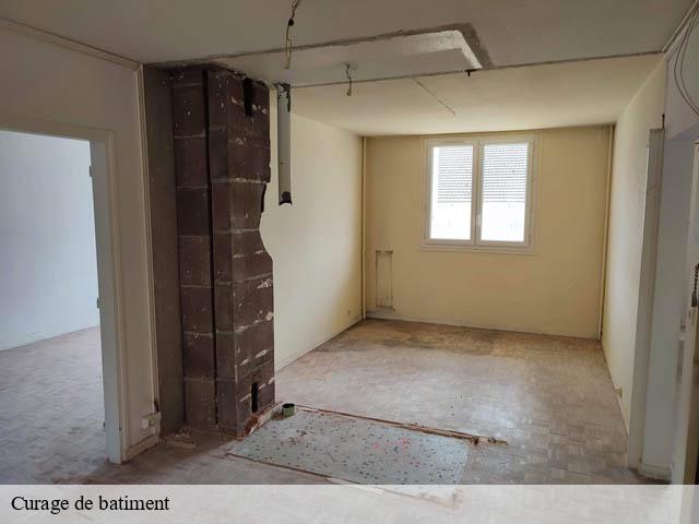 Curage de batiment fosse-41330 Bruno démolition & terrassement