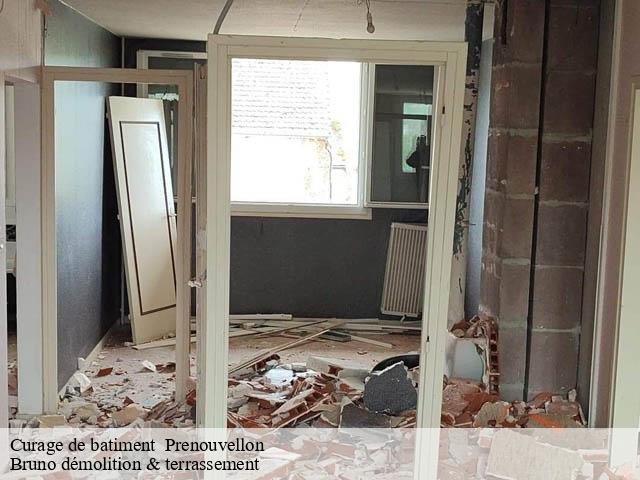 Curage de batiment prenouvellon-41240 Bruno démolition & terrassement