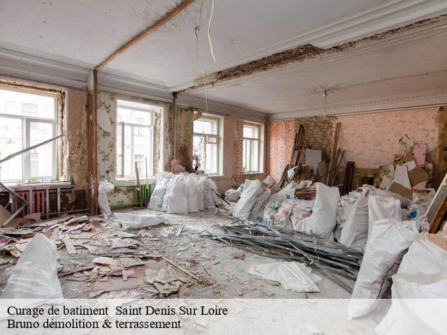 Curage de batiment saint-denis-sur-loire-41000 Bruno démolition & terrassement