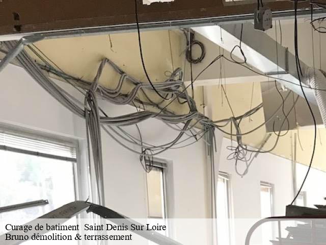 Curage de batiment saint-denis-sur-loire-41000 Bruno démolition & terrassement