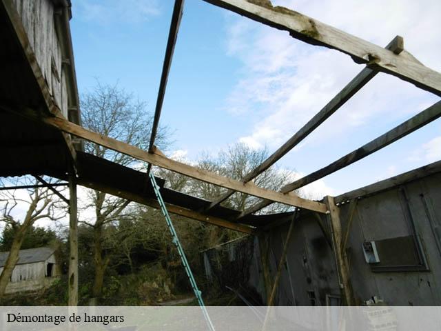 Démontage de hangars  ange-41400 Bruno démolition & terrassement