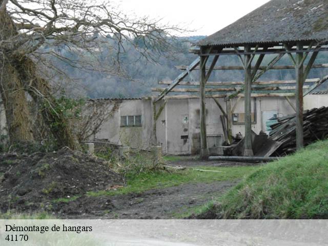 Démontage de hangars  beauchene-41170 Bruno démolition & terrassement