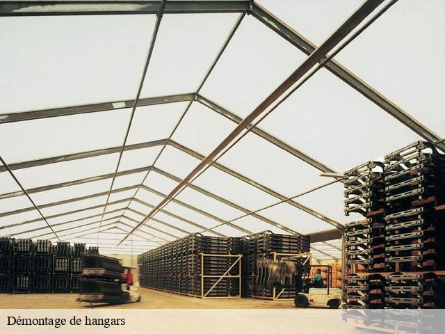 Démontage de hangars chemery-41700 Bruno démolition & terrassement